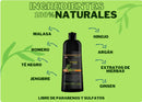 💥¡OFERTA EXCLUSIVA COMBO 2025 💥 CHAO CANAS 3 EN 1!💥 Shampoo Chao Canas 2025 +  Tratamiento Chao Canas  2025 | Recupera tu Color Natural, Rejuvenece tu Cabello y Olvídate de las Canas para Siempre ✨🛒