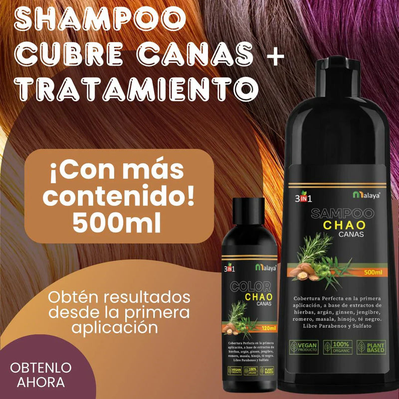 💥¡OFERTA EXCLUSIVA COMBO 2025 💥 CHAO CANAS 3 EN 1!💥 Shampoo Chao Canas 2025 +  Tratamiento Chao Canas  2025 | Recupera tu Color Natural, Rejuvenece tu Cabello y Olvídate de las Canas para Siempre ✨🛒